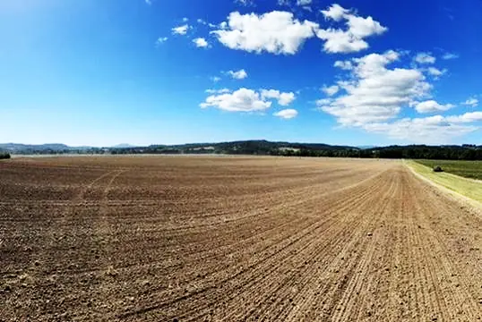 Freshly tilled field under a blue sky.